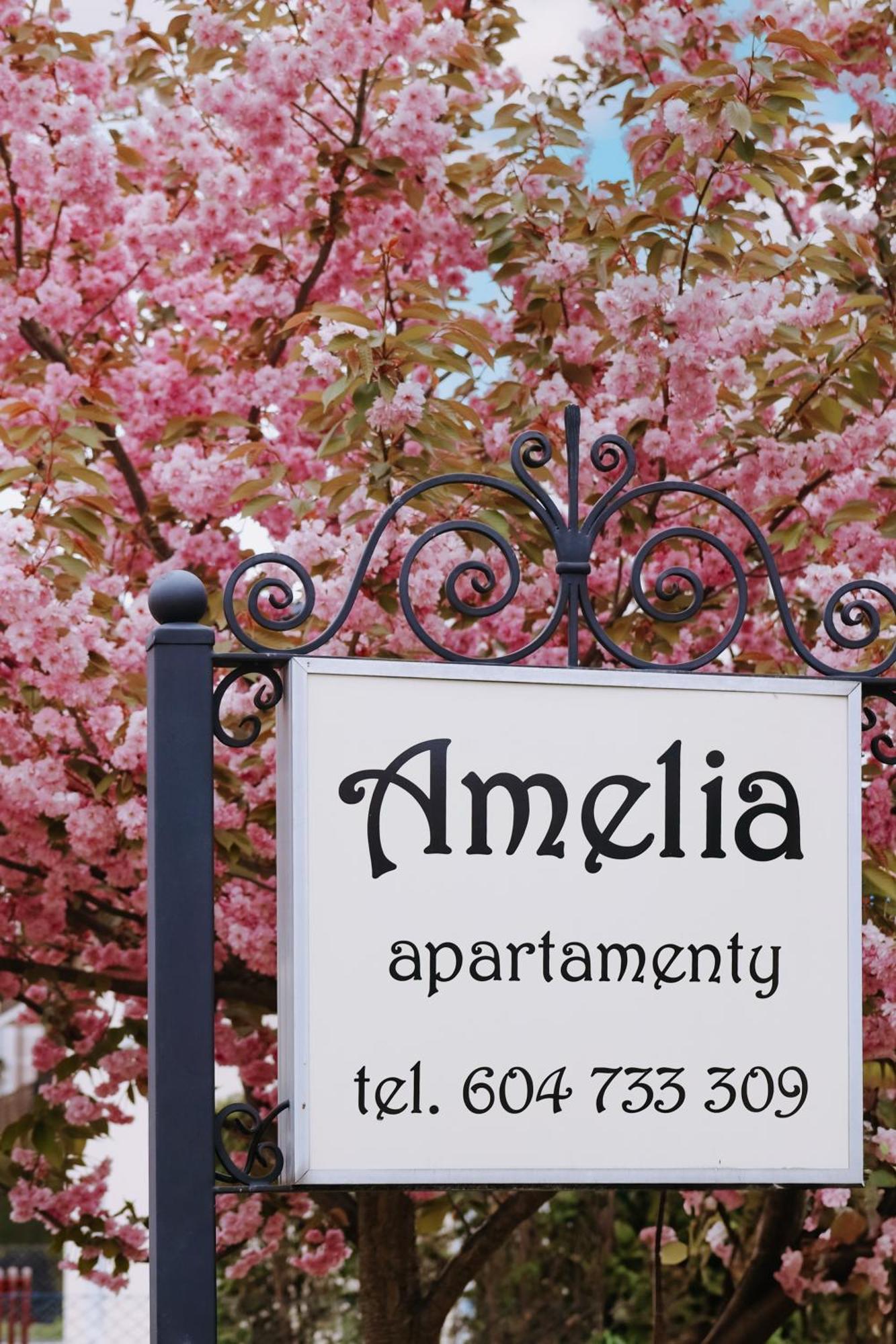 Amelia Apartamenty - Sala Zabaw, 2 Sypialnie, Garaz Podziemny Władysławowo Exteriér fotografie